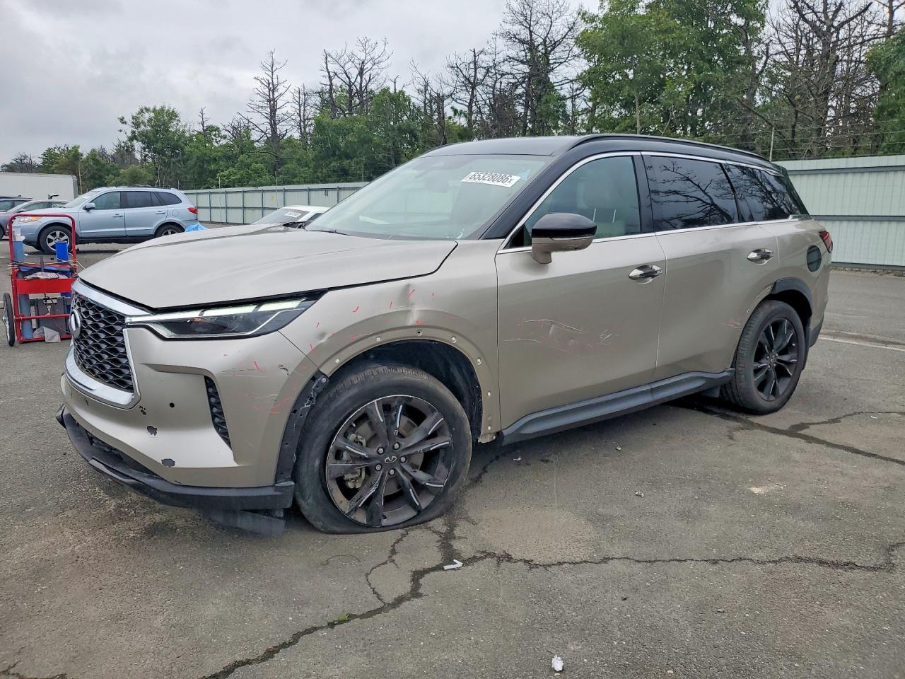 5N1DL1FS8RC330600 · 2024 INFINITI QX60