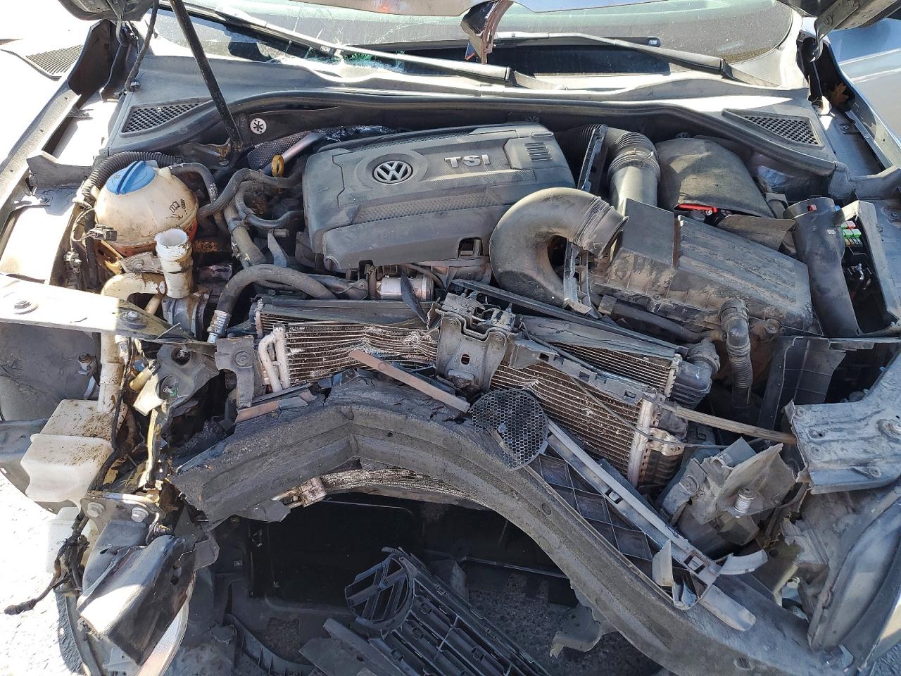 1VWAT7A30FC117210 · 2015 VOLKSWAGEN PASSAT · 11/13