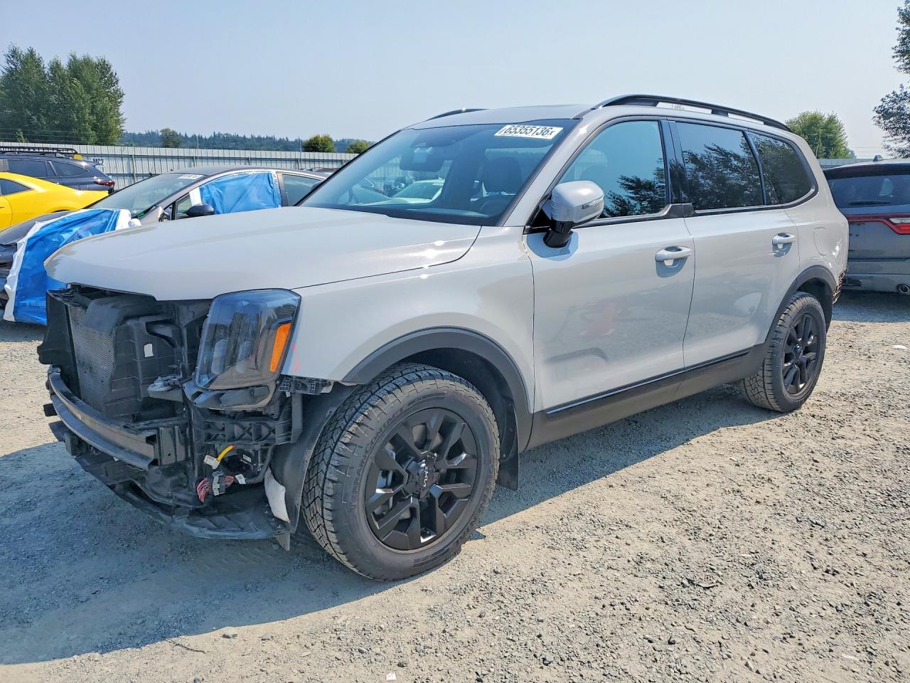 5XYP5DGC3RG449199 · 2024 KIA TELLURIDE
