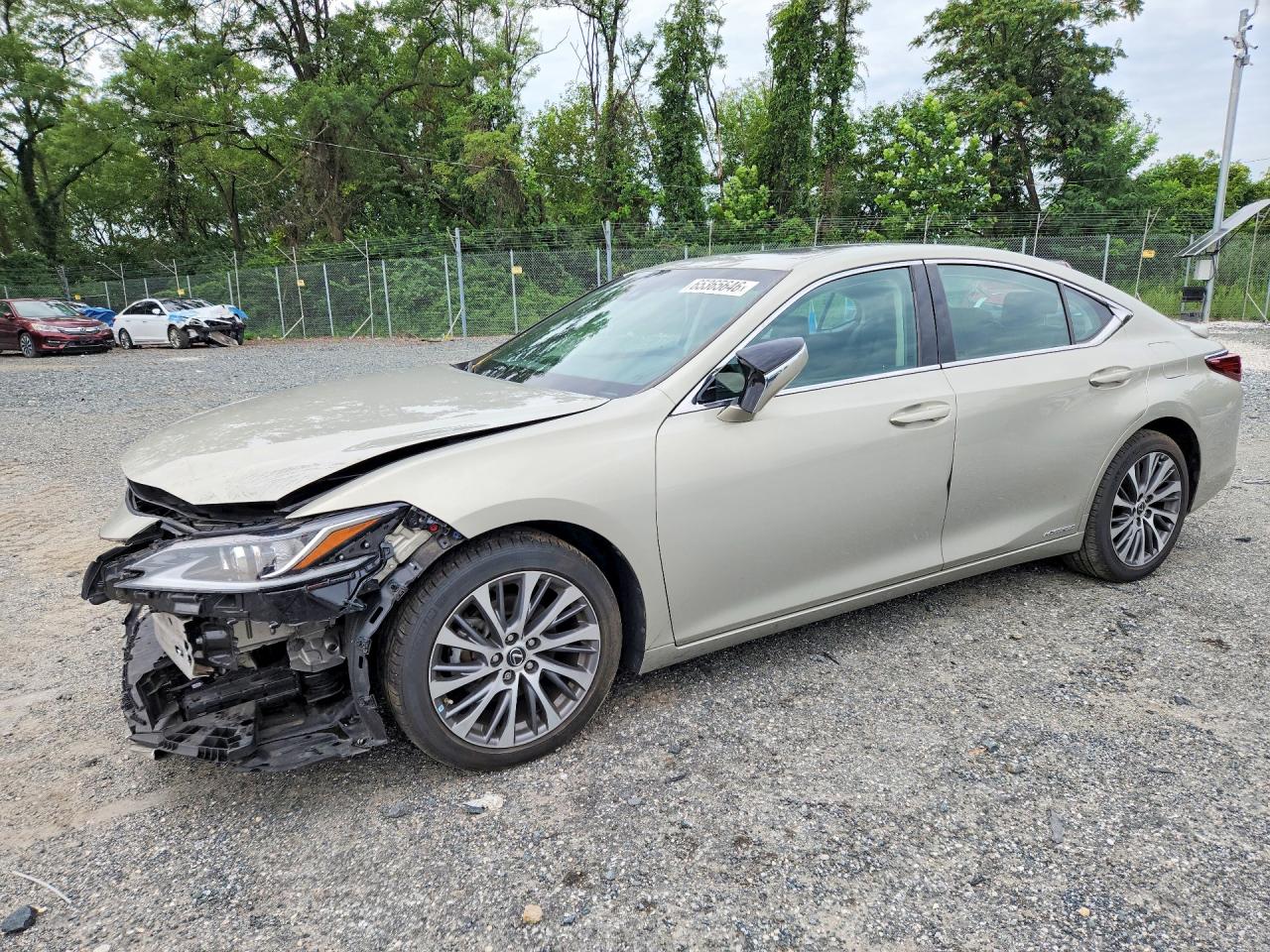58AB21B15KU002437 · 2019 LEXUS ES