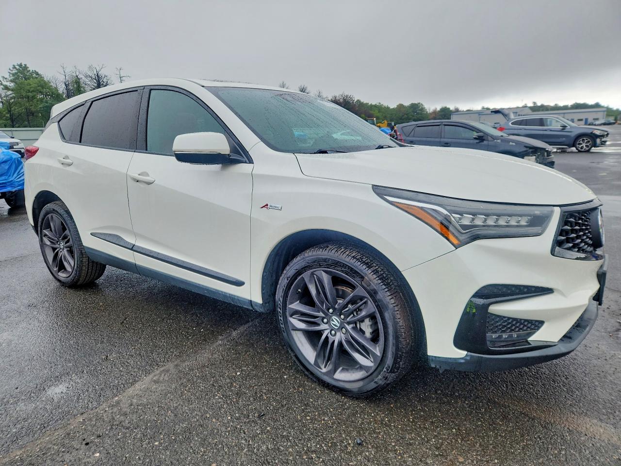 5J8TC2H65KL012091 · 2019 ACURA RDX · 4/14