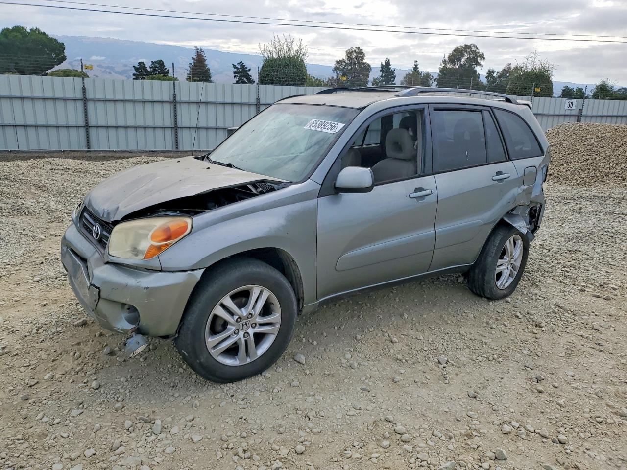 JTEGD20V440016455 · 2004 TOYOTA RAV4