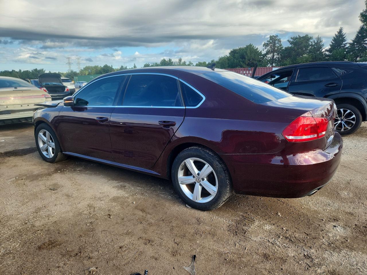 1VWBP7A39DC110665 · 2013 VOLKSWAGEN PASSAT · 2/13