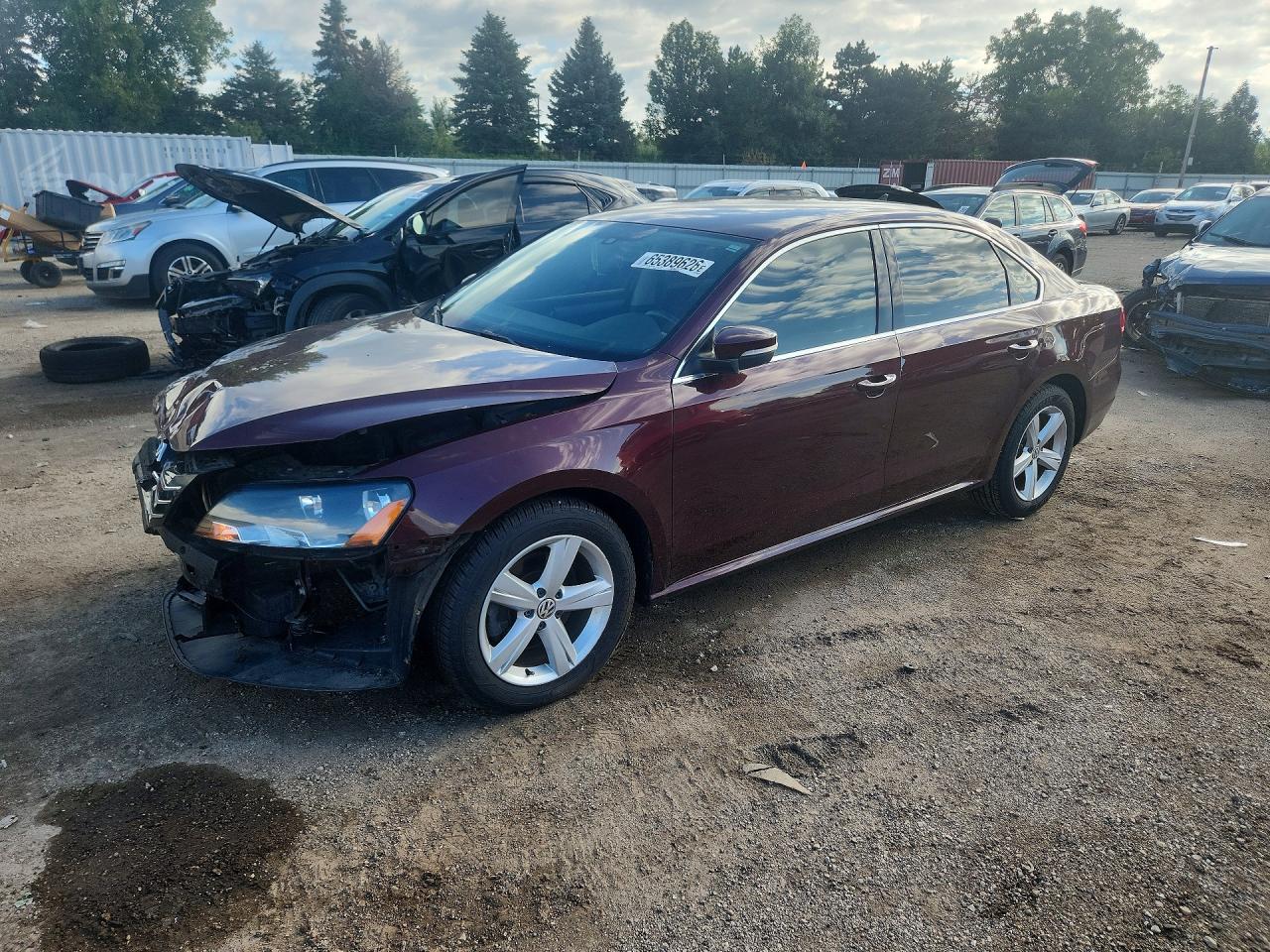 1VWBP7A39DC110665 · 2013 VOLKSWAGEN PASSAT