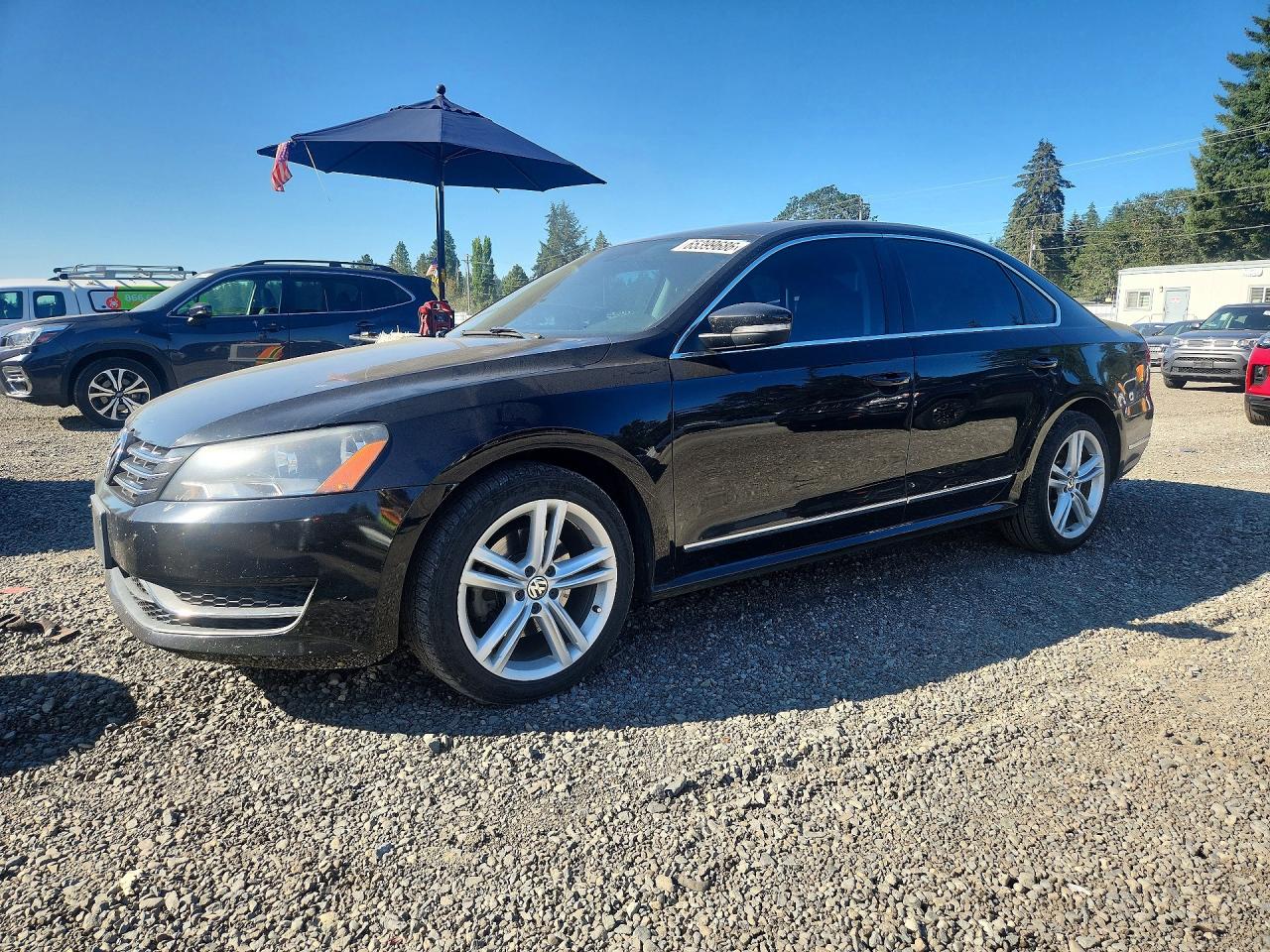 1VWCN7A34DC087581 · 2013 VOLKSWAGEN PASSAT