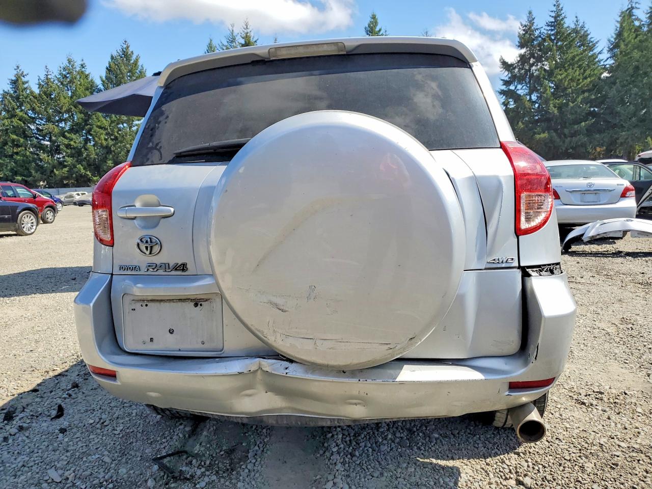 JTMBK31V186043317 · 2008 TOYOTA RAV4 · 6/13