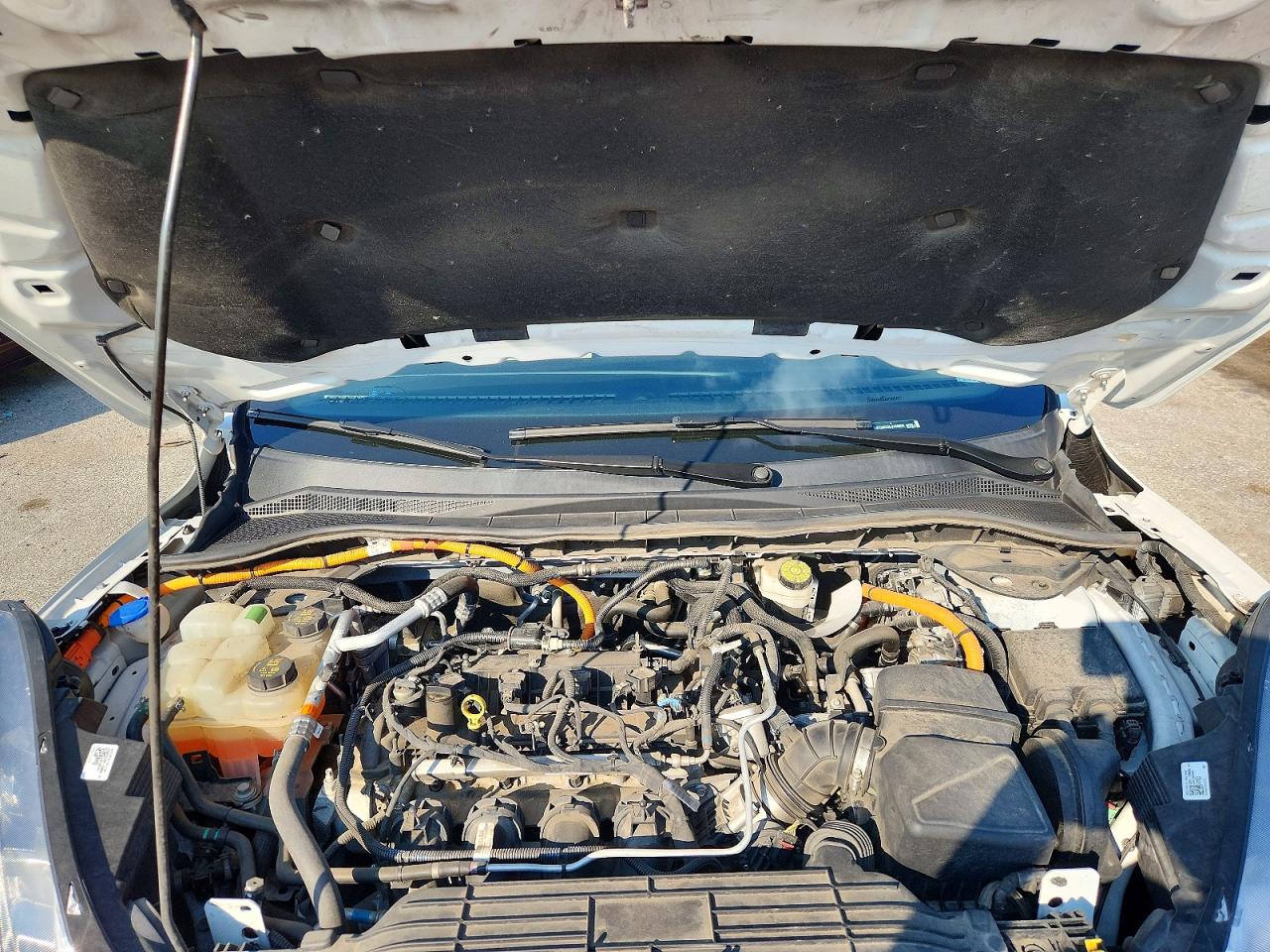 1FMCU0BZ8LUA80606 · 2020 FORD ESCAPE · 12/13