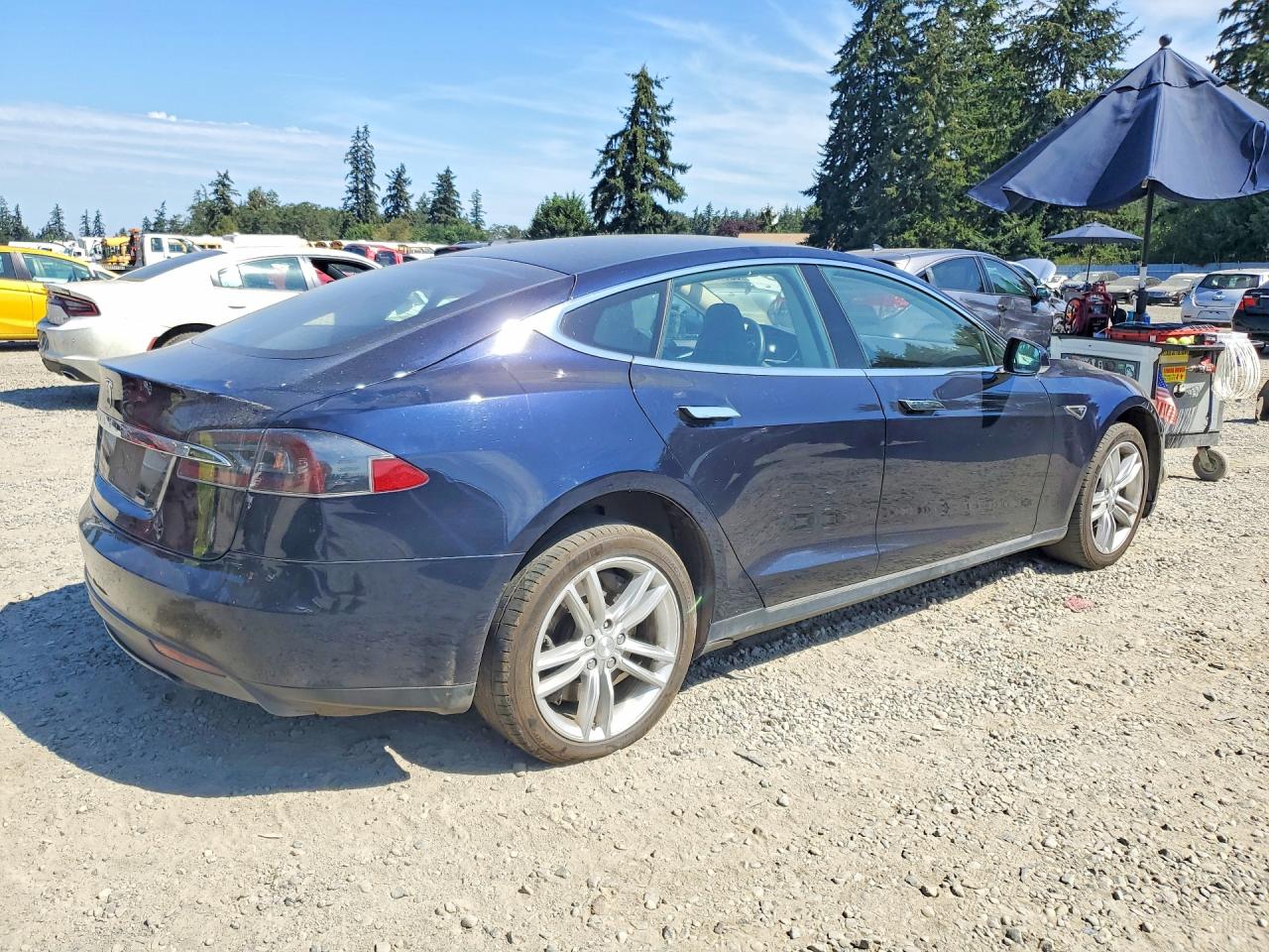 5YJSA1CG5DFP03556 · 2013 TESLA MODEL S · 3/12