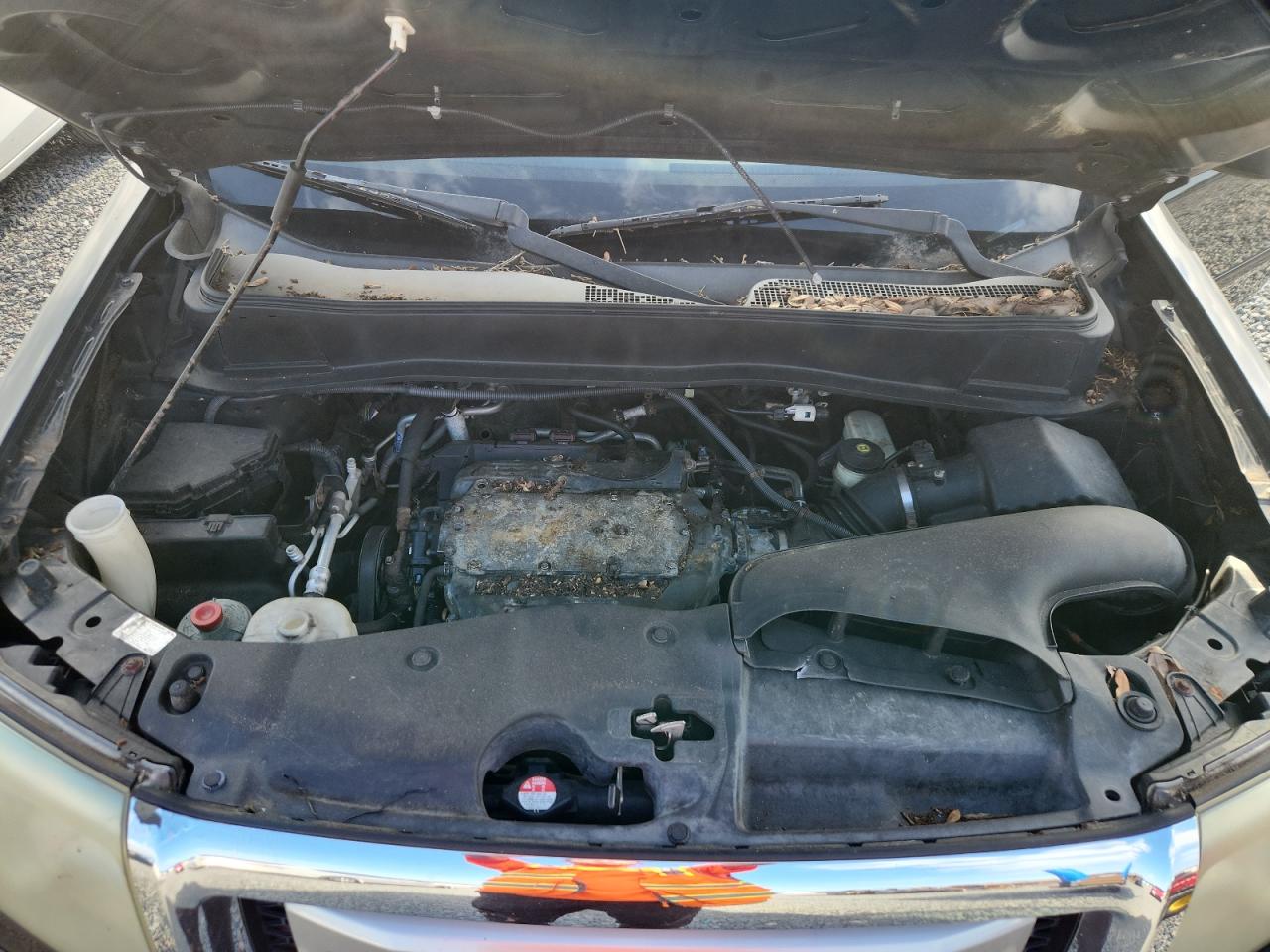 5FNYF4H66AB026865 · 2010 HONDA PILOT · 12/13