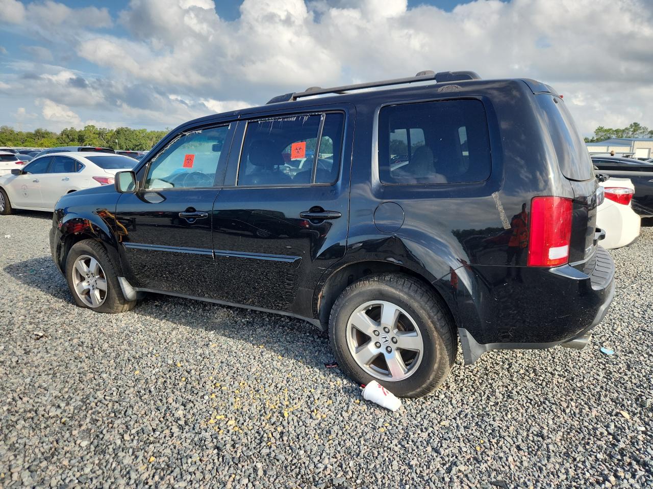 5FNYF4H66AB026865 · 2010 HONDA PILOT · 2/13