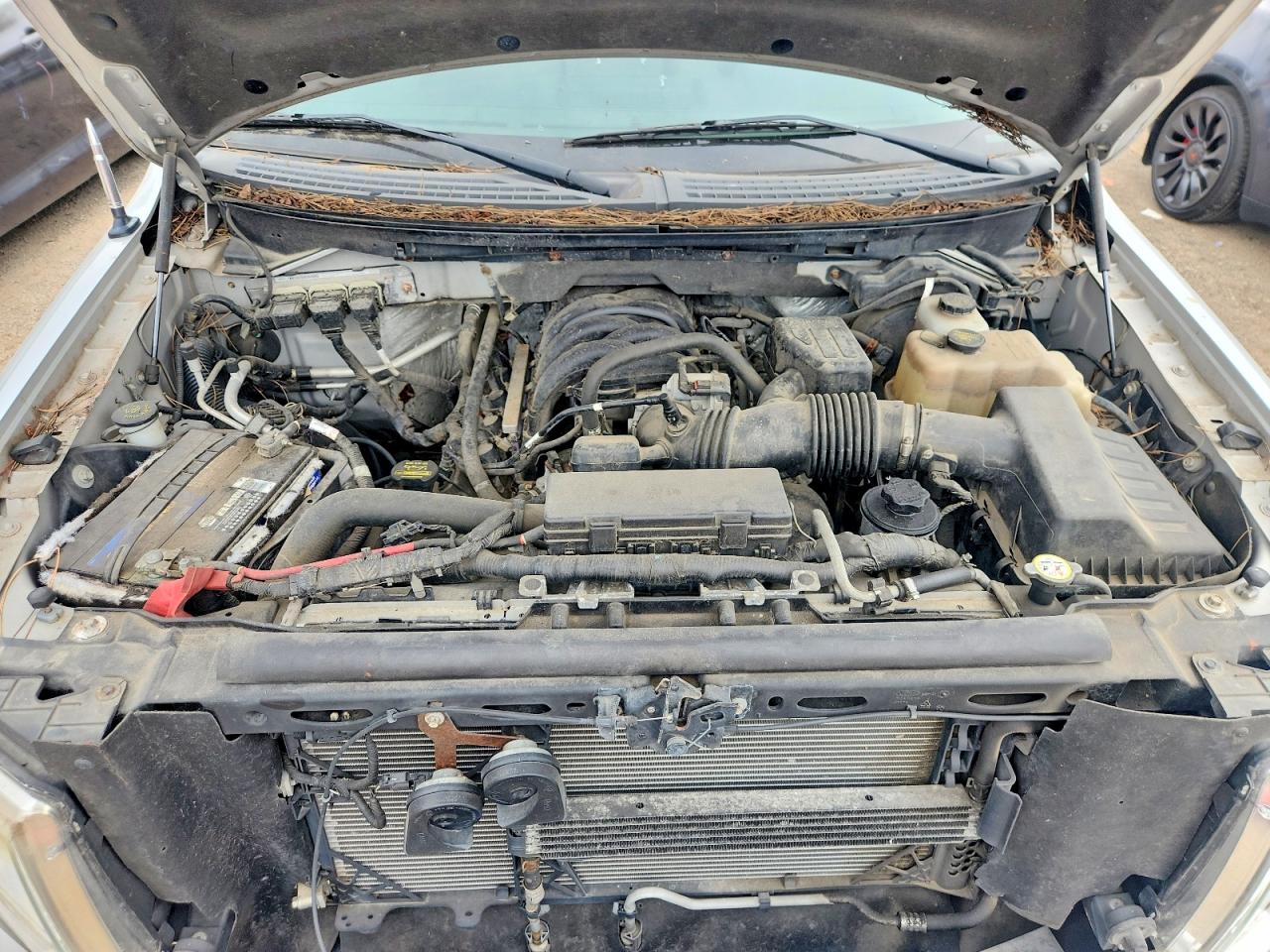1FTEX1E85AFA48629 · 2010 FORD F150 · 11/12