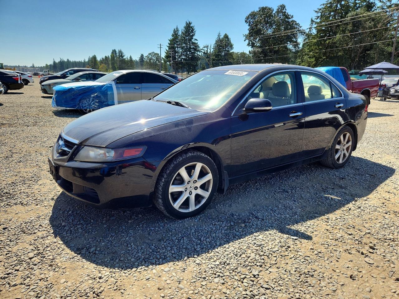 JH4CL96975C001911 · 2005 ACURA TSX