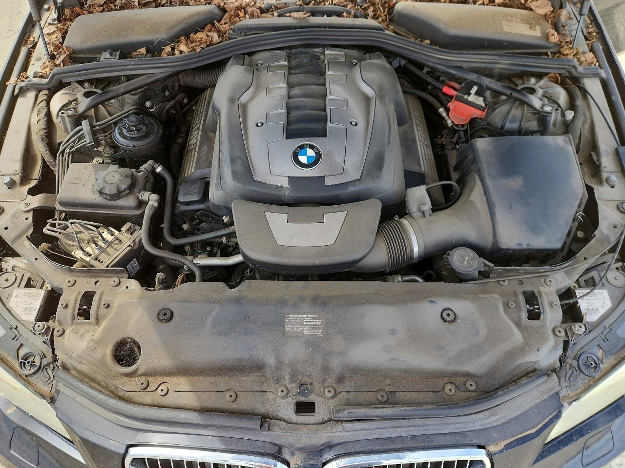WBANW5C51ACT56432 · 2010 BMW 550 · 11/12