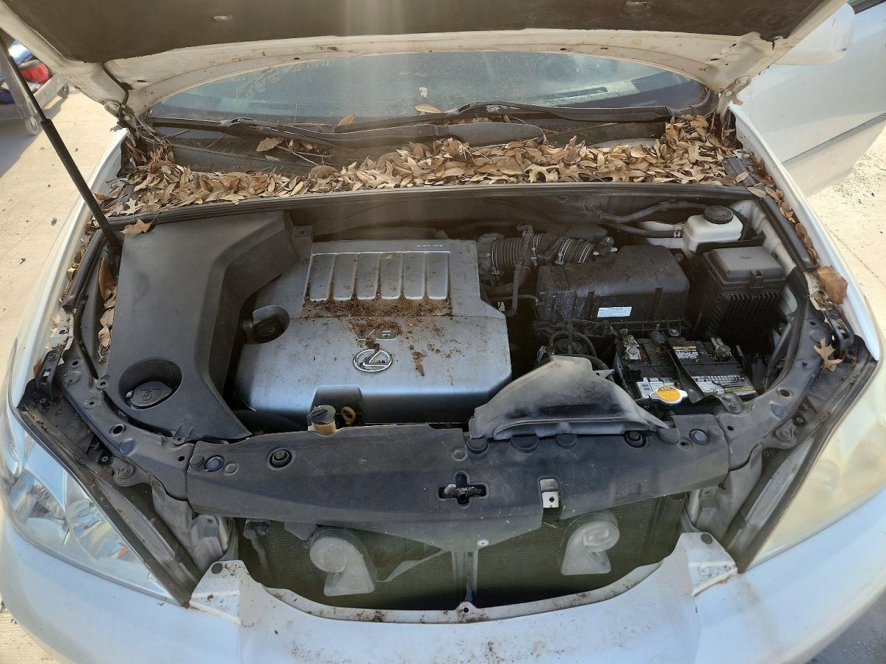 2T2GK31U49C074600 · 2009 LEXUS RX · 12/13