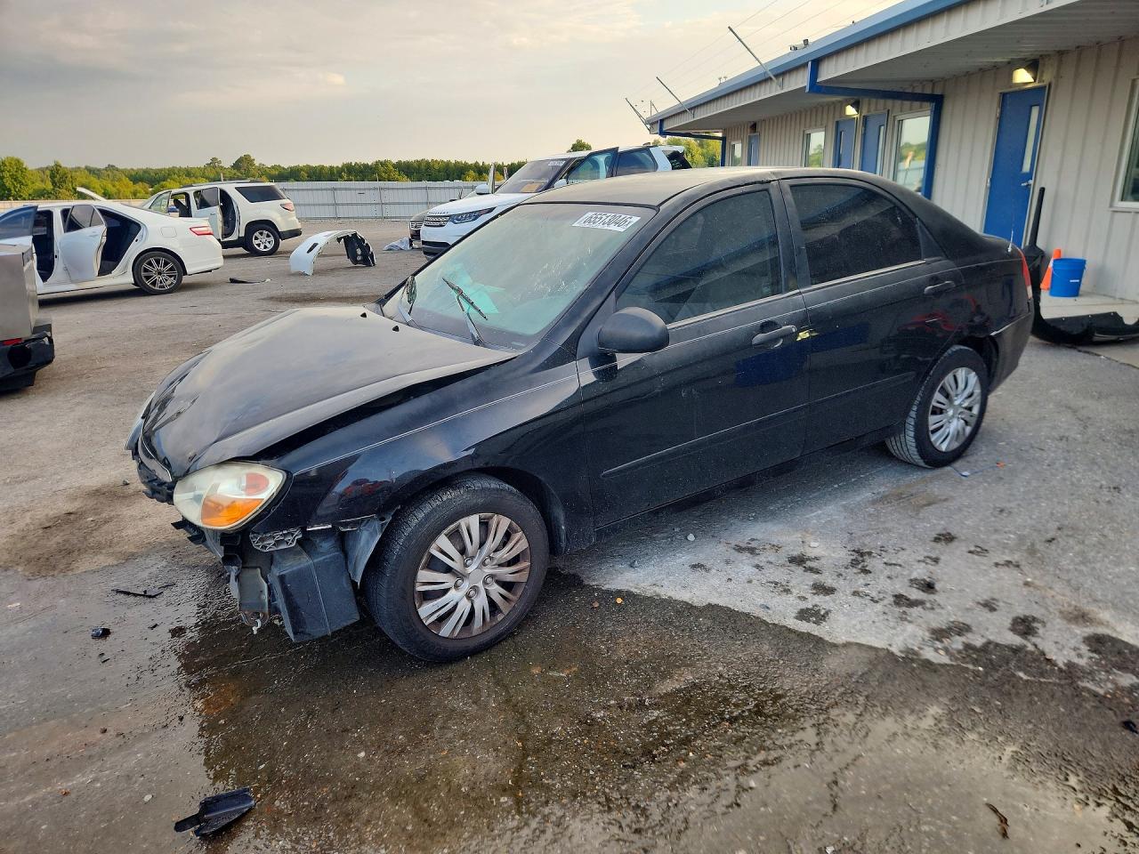KNAFE121085544081 · 2008 KIA SPECTRA