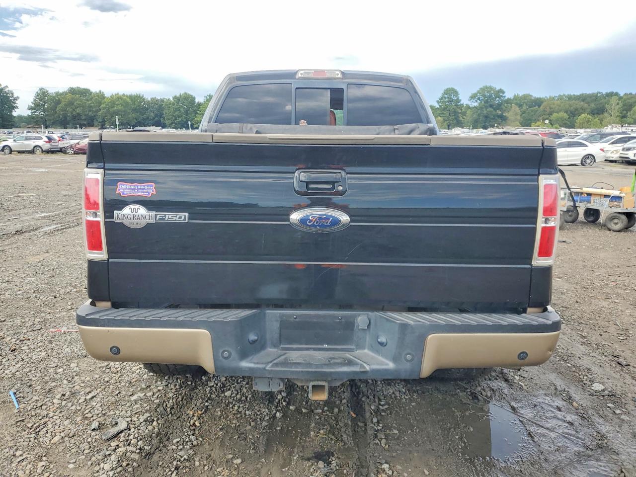 1FTFW1ET6BKE15509 · 2011 FORD F150 · 6/12