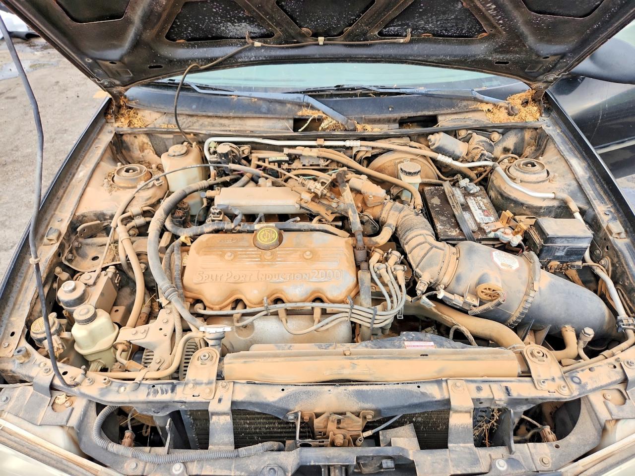 1FAFP13P4WW285396 · 1998 FORD ESCORT · 11/12