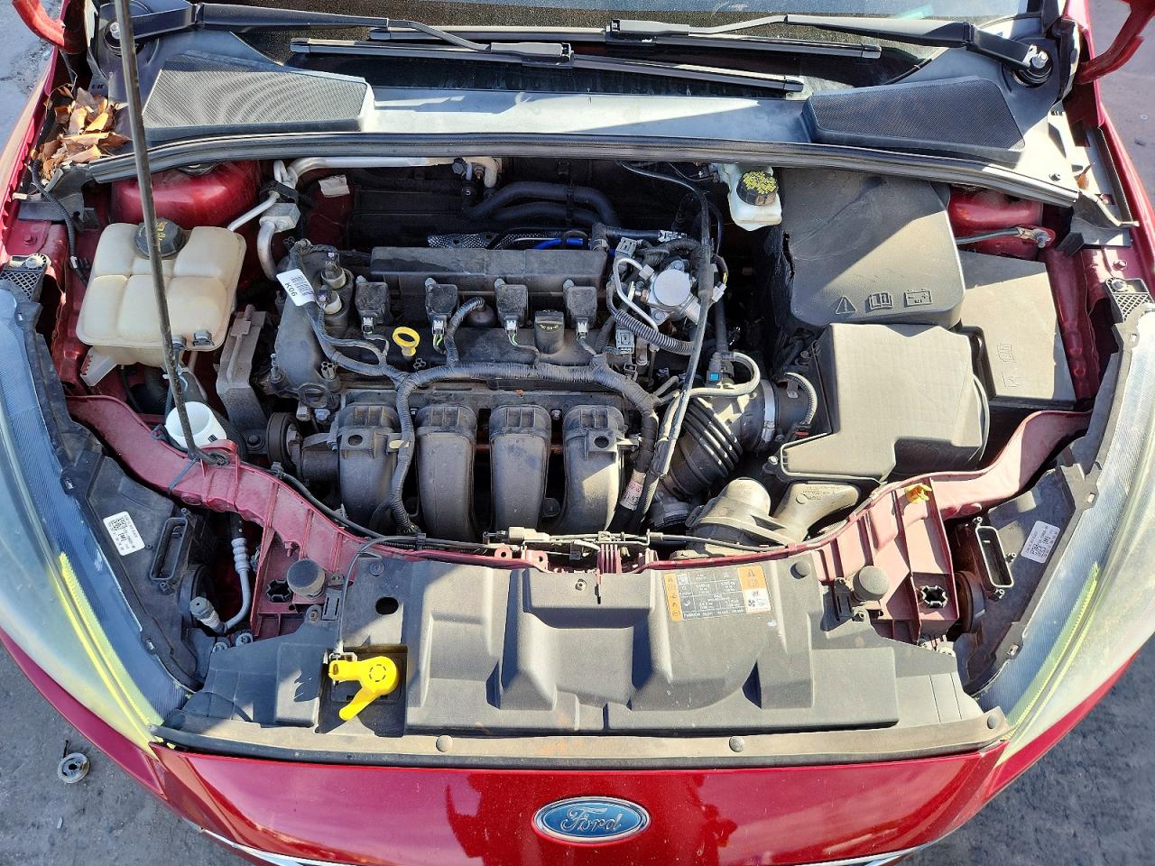 1FADP3H28HL346432 · 2017 FORD FOCUS · 11/13