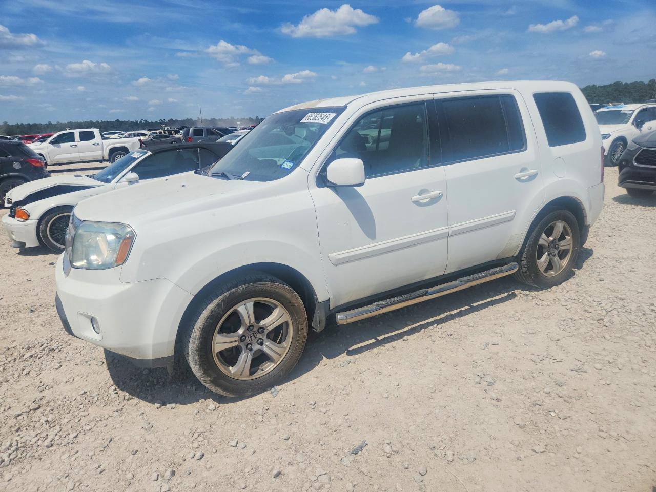 5FNYF3H51DB039450 · 2013 HONDA PILOT