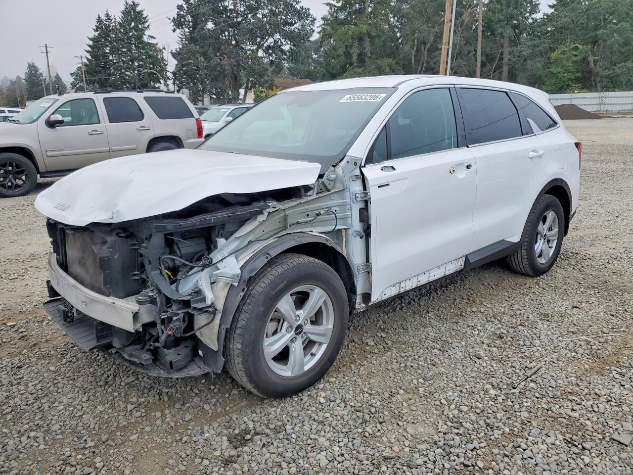 5XYRG4JC2RG300956 · 2024 KIA SORENTO