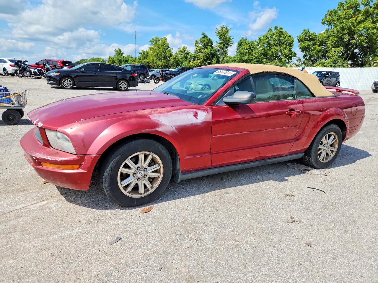 1ZVFT84N465217937 · 2006 FORD MUSTANG