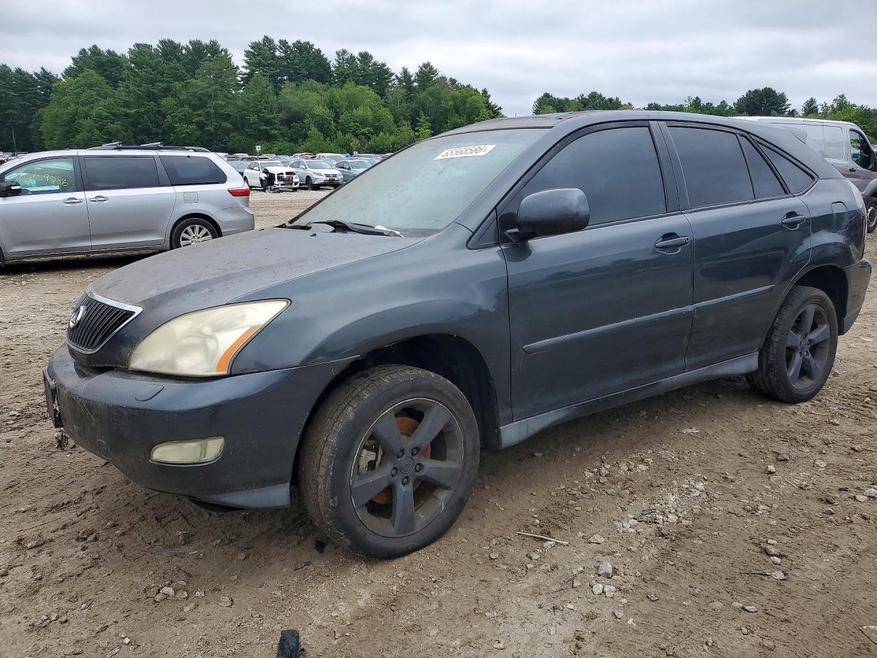 2T2HK31U27C021993 · 2007 LEXUS RX