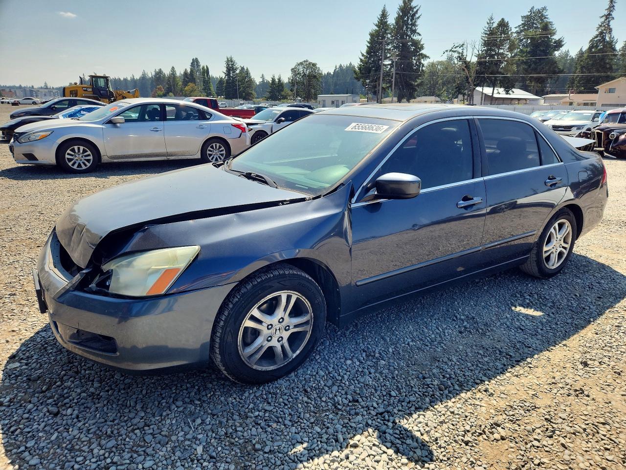 1HGCM56776A081408 · 2006 HONDA ACCORD