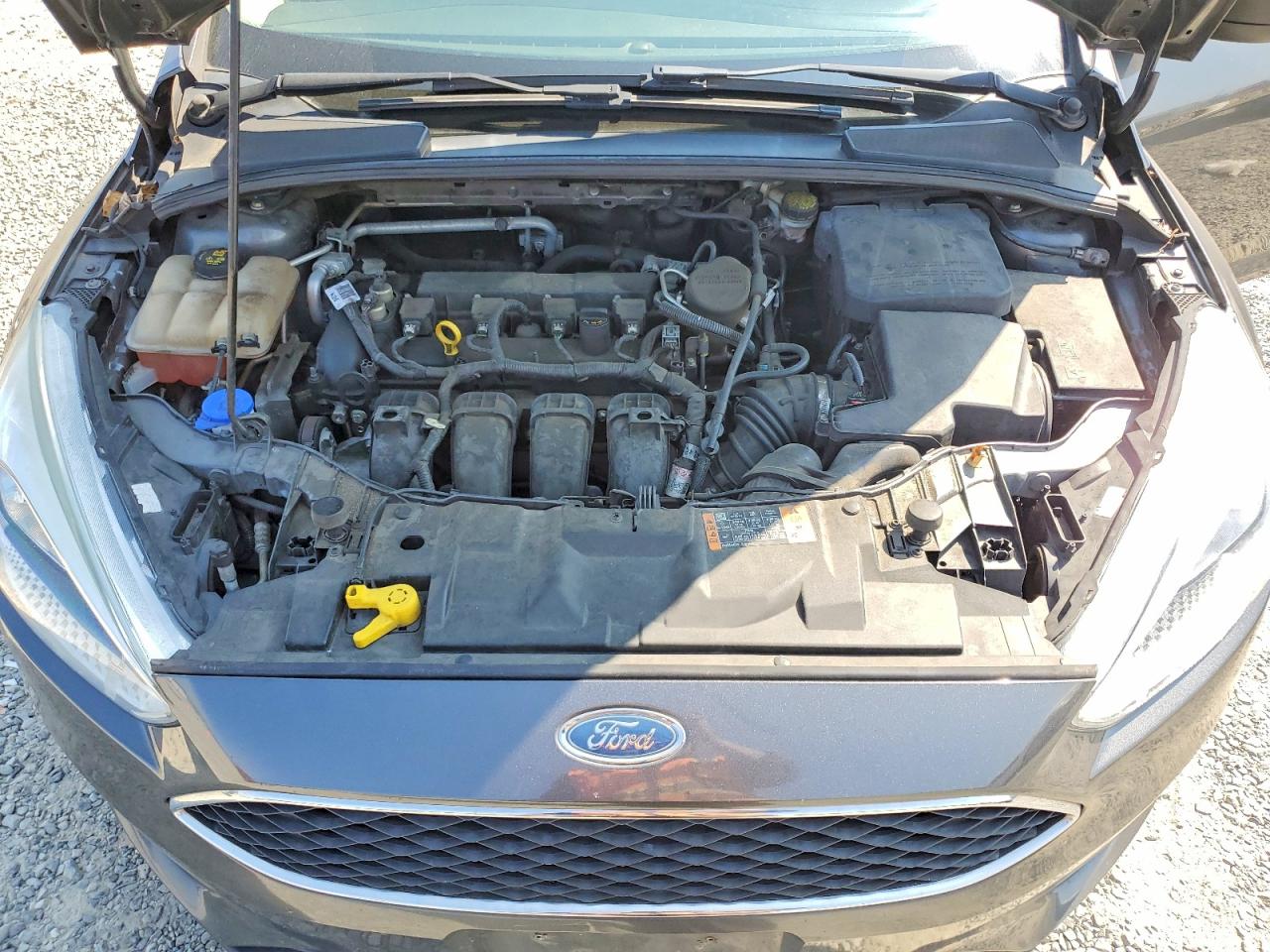 1FADP3E2XGL247176 · 2016 FORD FOCUS · 11/12