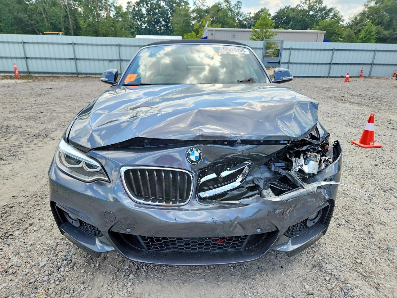 WBA2K9C51HV646965 · 2017 BMW 230I · 5/12