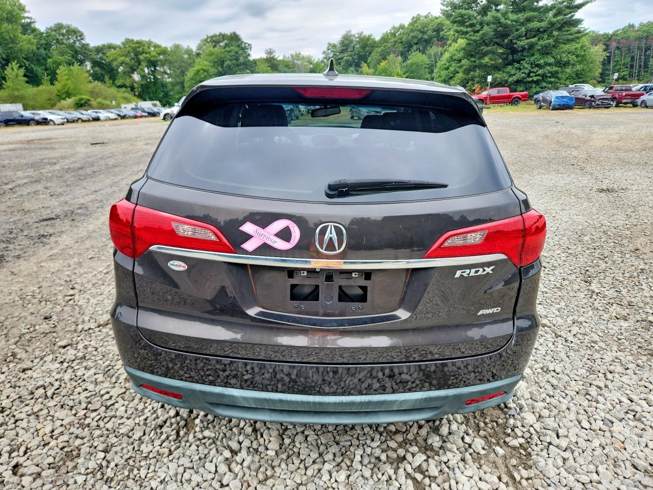 5J8TB4H39EL016573 · 2014 ACURA RDX · 6/13