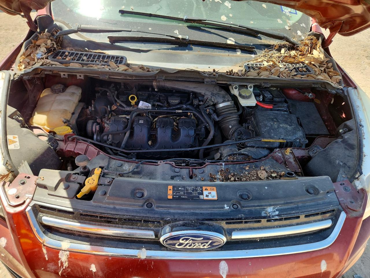 1FMCU0J97EUB97890 · 2014 FORD ESCAPE · 12/13