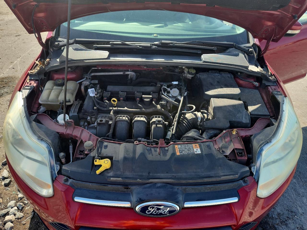 1FADP3K20EL363021 · 2014 FORD FOCUS · 11/13