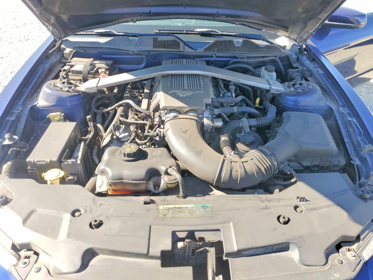 1ZVBP8FH6A5155654 · 2010 FORD MUSTANG · 11/12