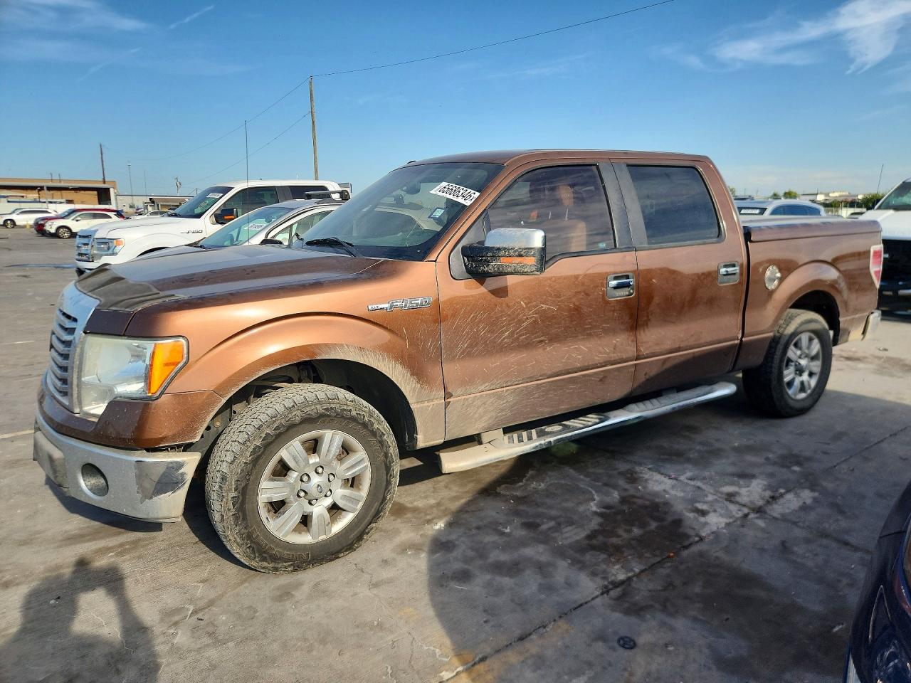 1FTFW1CF9BFA25879 · 2011 FORD F150