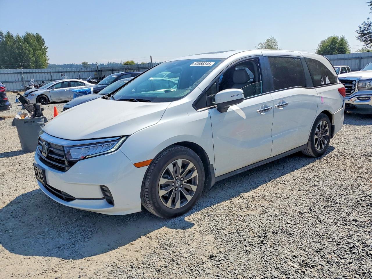 5FNRL6H72NB053262 · 2022 HONDA ODYSSEY