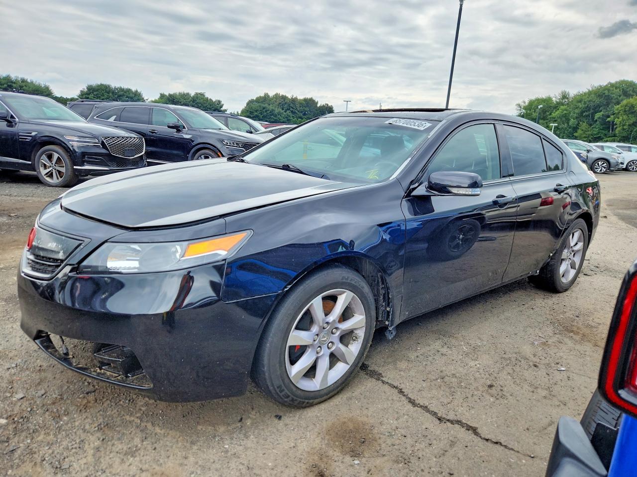 19UUA8F20DA014987 · 2013 ACURA TL