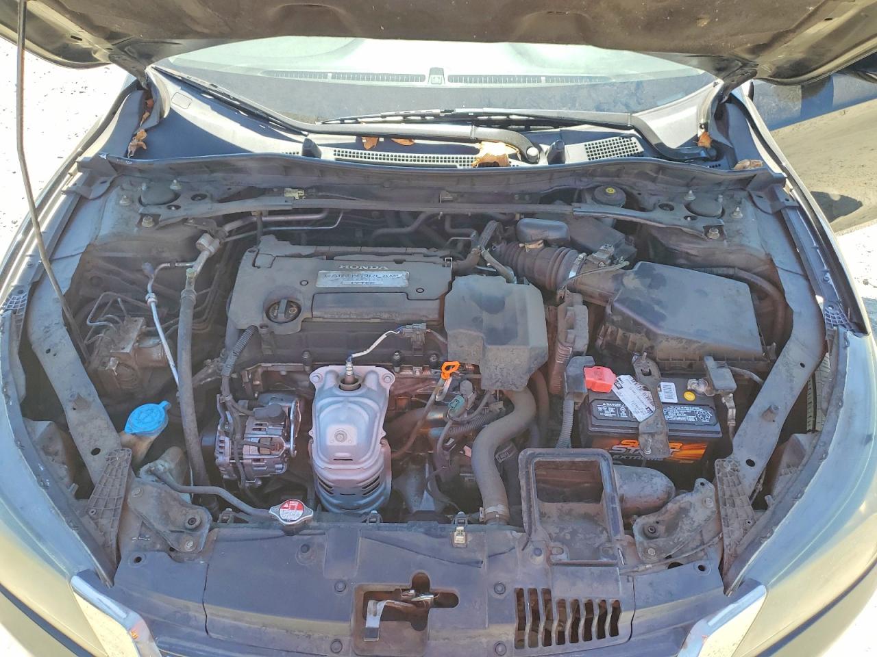 1HGCR2F84DA006543 · 2013 HONDA ACCORD · 11/12