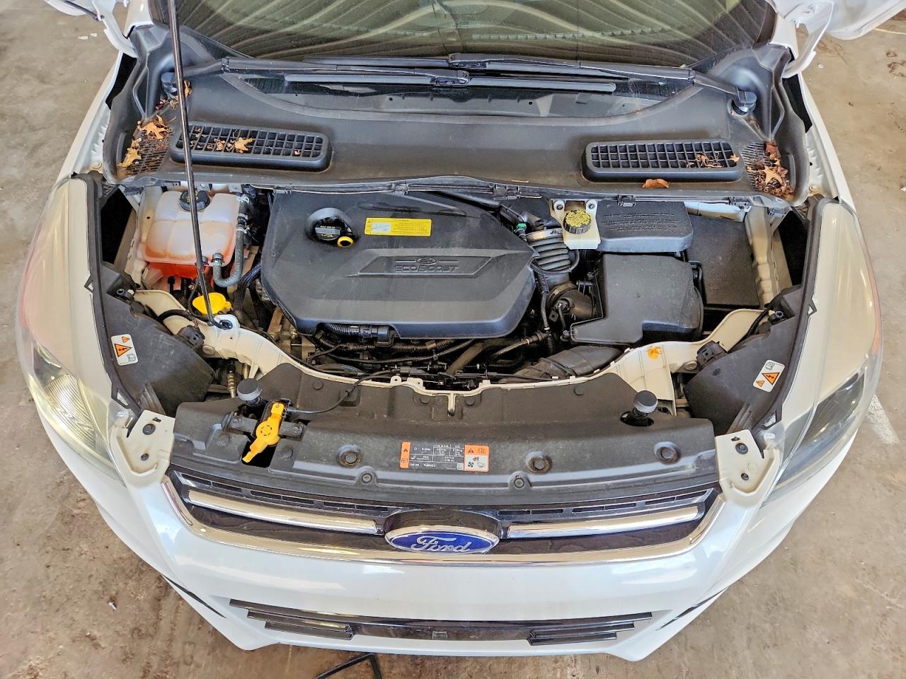 1FMCU0JX7EUC21524 · 2014 FORD ESCAPE · 11/12
