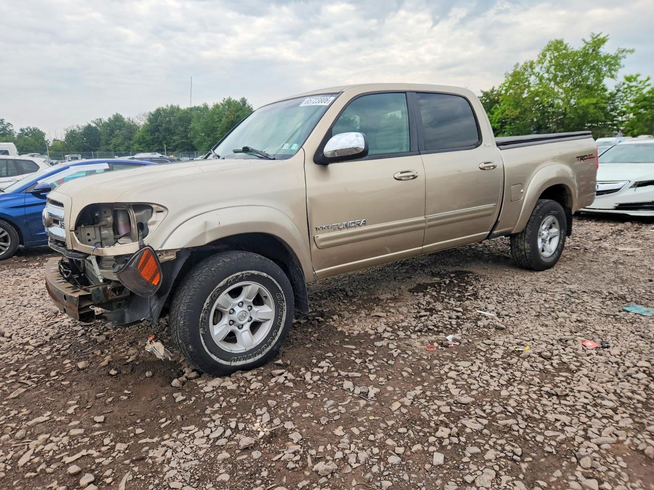 5TBDT44176S553231 · 2006 TOYOTA TUNDRA