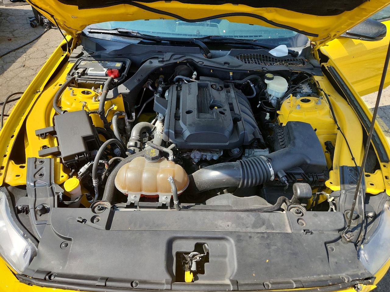 1FA6P8TH6F5367525 · 2015 FORD MUSTANG · 11/12