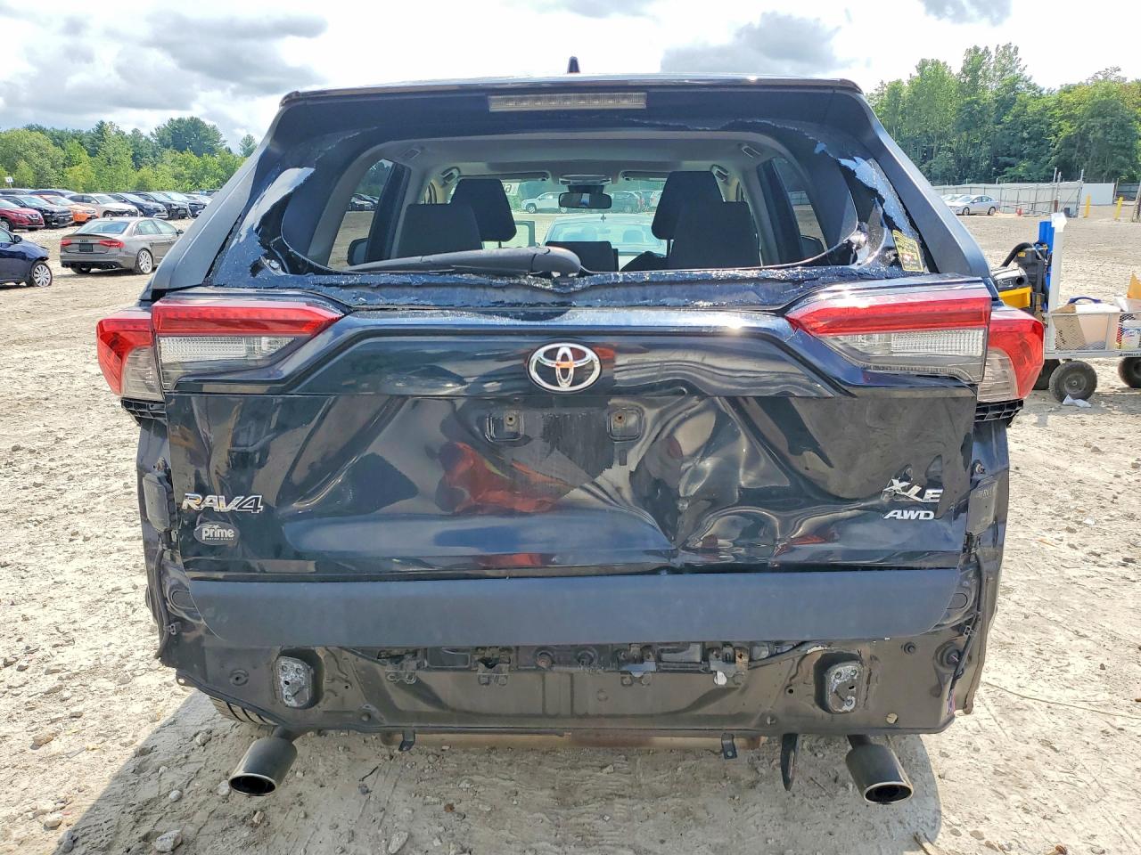 JTMP1RFV8KD506853 · 2019 TOYOTA RAV4 · 6/14