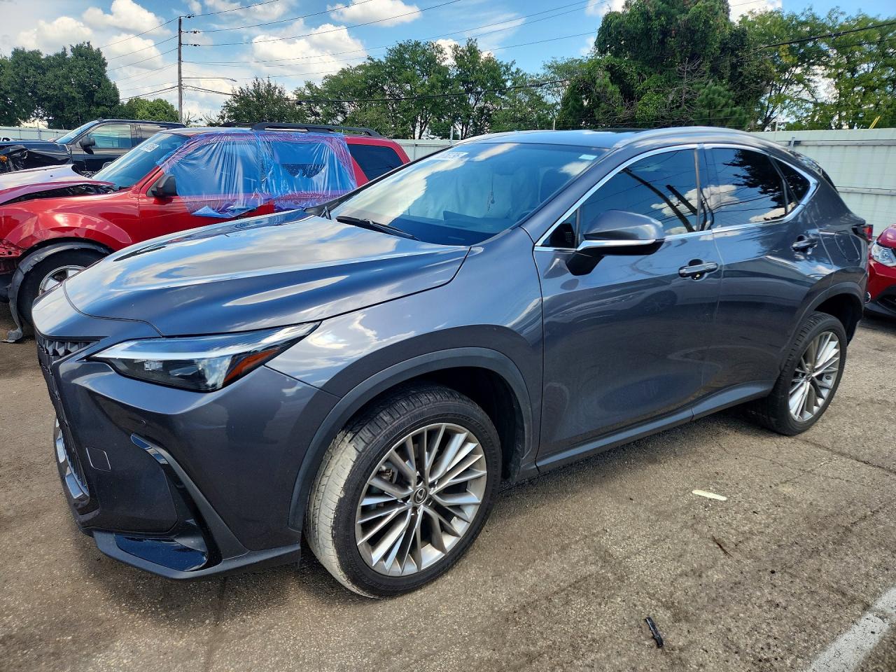 2022 LEXUS NX