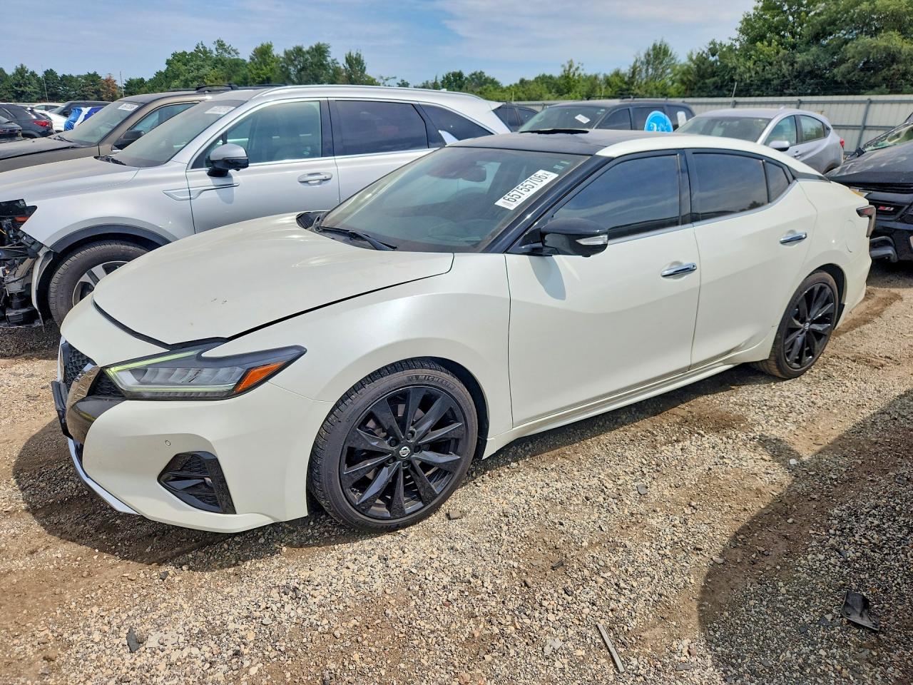1N4AA6AV2KC375975 · 2019 NISSAN MAXIMA