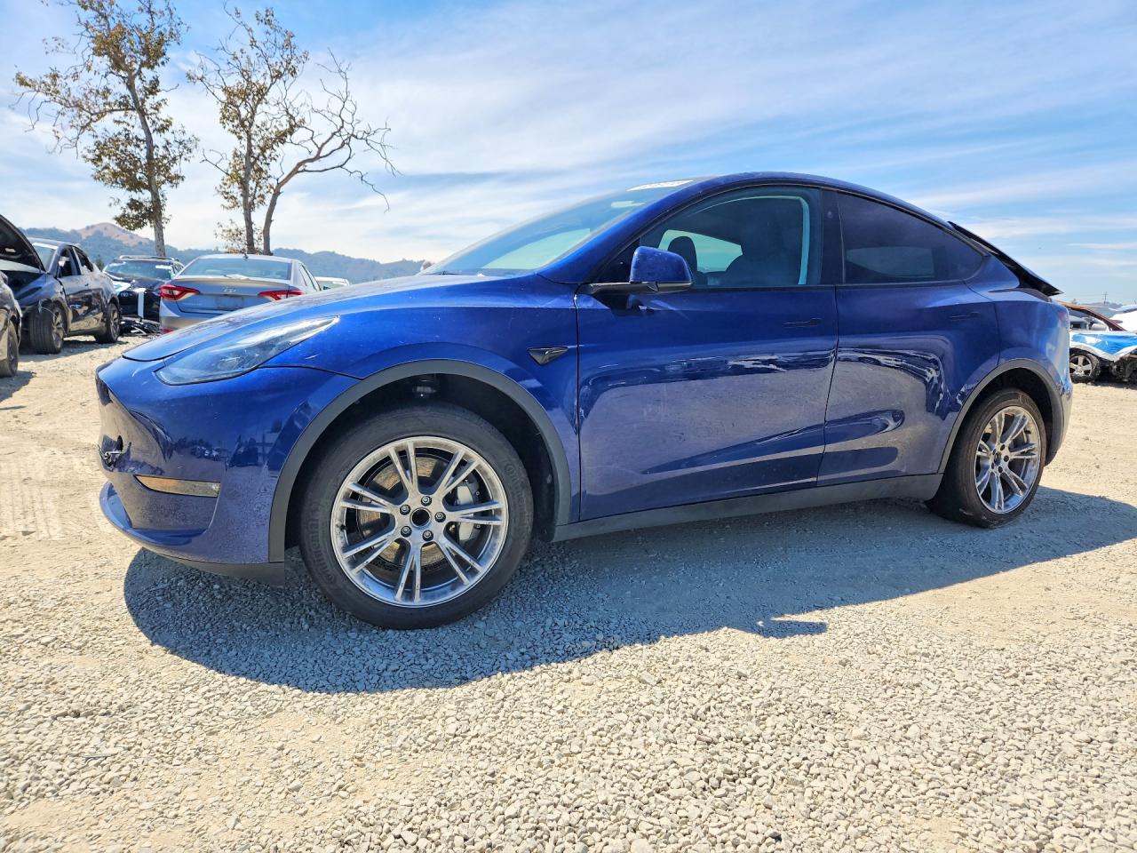 2023 TESLA MODEL Y