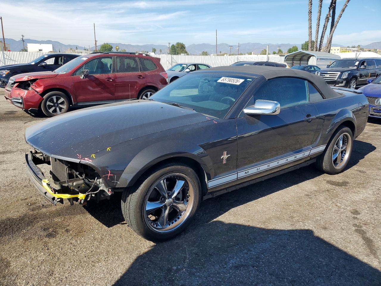 1ZVHT84N075282844 · 2007 FORD MUSTANG