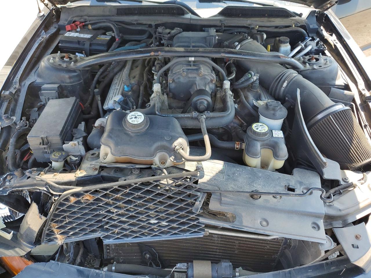 1ZVHT88S495144002 · 2009 FORD MUSTANG · 11/12