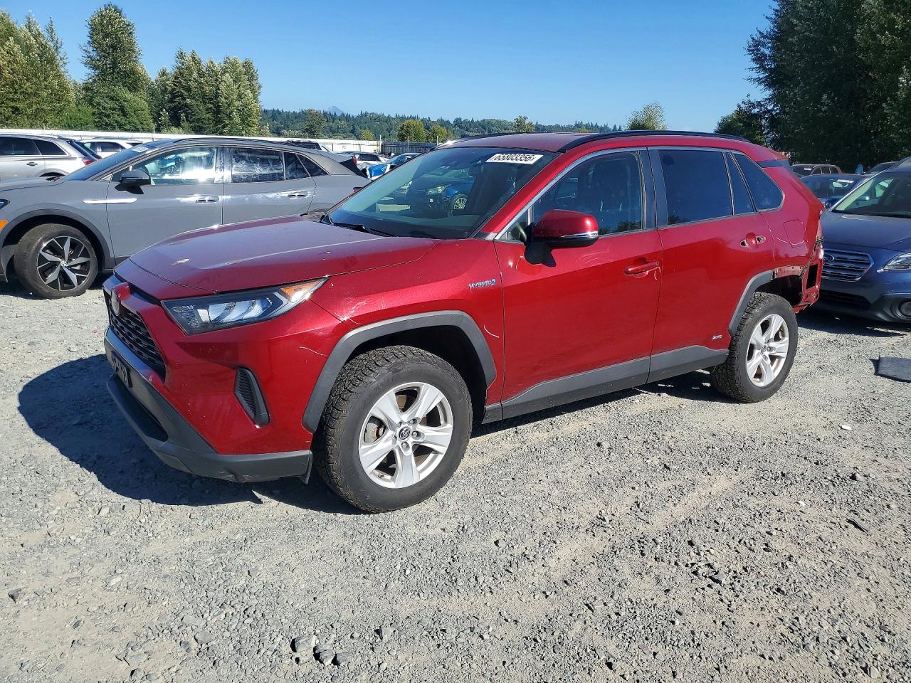 JTMMWRFV6KD021714 · 2019 TOYOTA RAV4