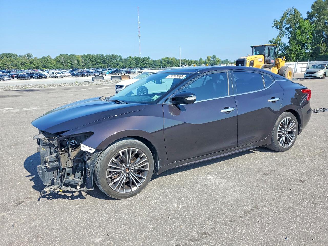 1N4AA6AP3GC447288 · 2016 NISSAN MAXIMA