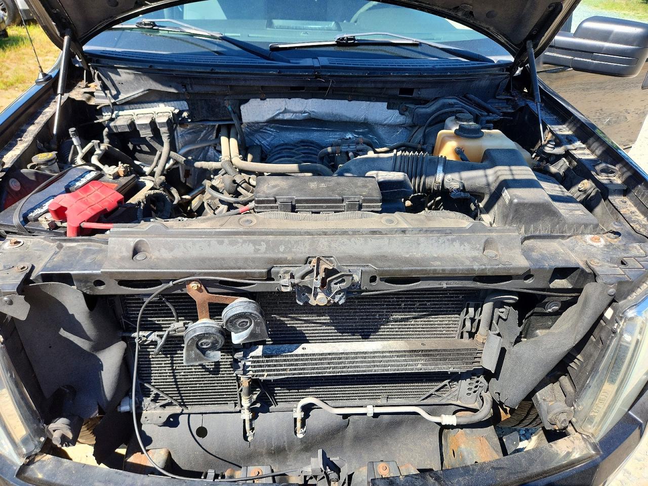 1FTFW1EF7DFA97289 · 2013 FORD F150 · 11/12