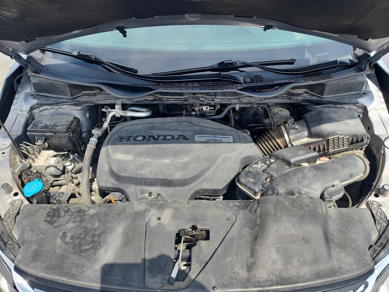 5FNRL6H74KB004320 · 2019 HONDA ODYSSEY · 12/13